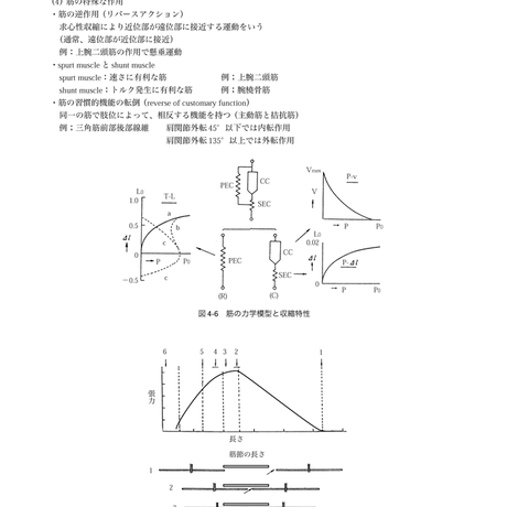 5b90e471e8db4137f3000058