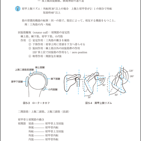 5b834d8fa6e6ee1c49002ec9
