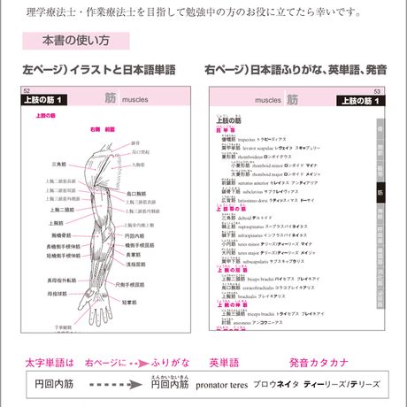5b90e475e8db4137f300008d