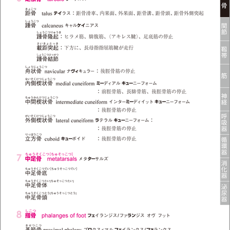 5b90e475e8db4137f300008d