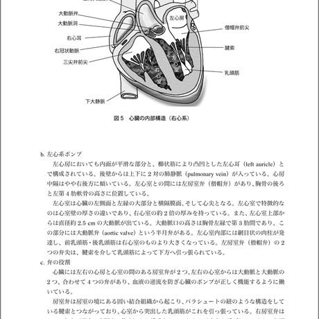 5b90e473e8db4137f3000073