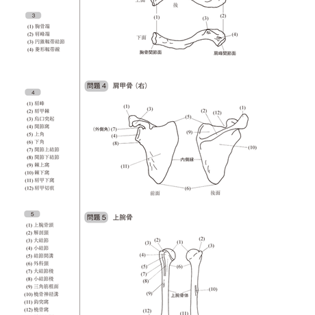 5b90e46ce8db4137f3000036