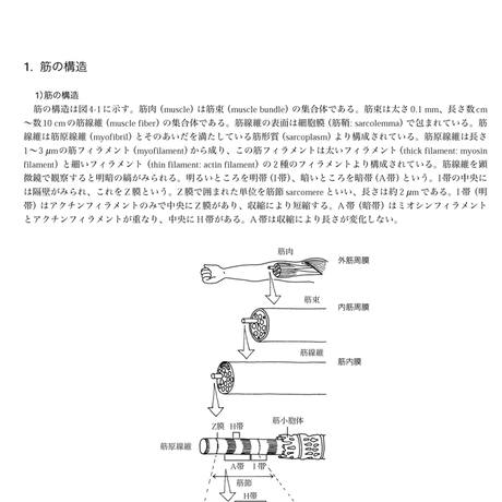 5b90e471e8db4137f3000058
