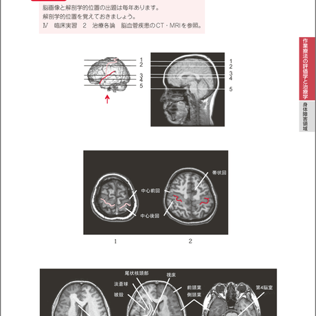 5b90e467e8db4137f3000012