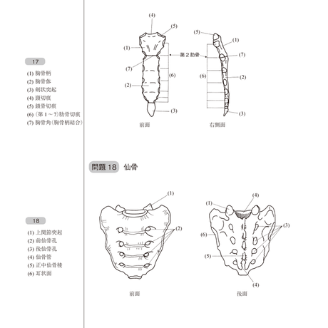 5b90e46ce8db4137f3000036