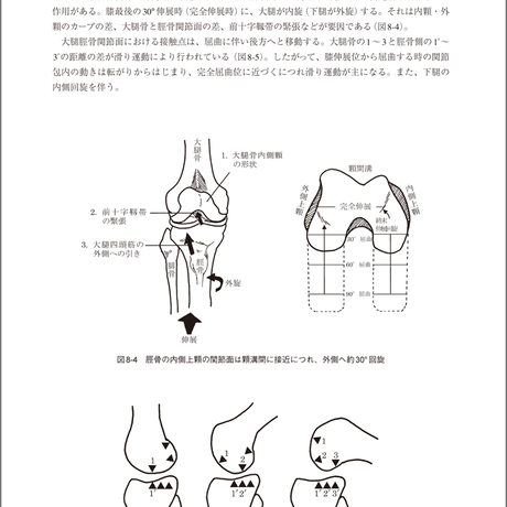 5b90e47fe8db4137f30000df