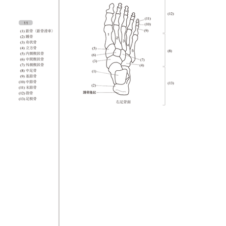 5b90e46ce8db4137f3000036