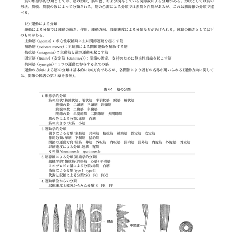 5b90e471e8db4137f3000058