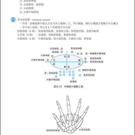 5b834d8fa6e6ee1c49002ec9