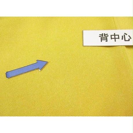 5cb8125d6a21db4f52b4a11d