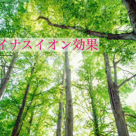 5d031e1ef8975475afdfafff