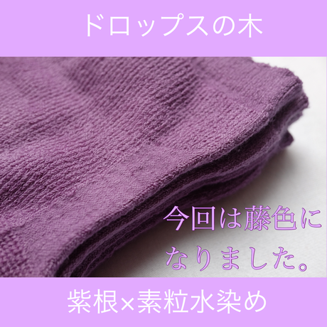 5dca962ea3423d677702693a