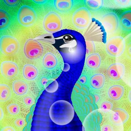 56324b44bfe24c373c0011f1