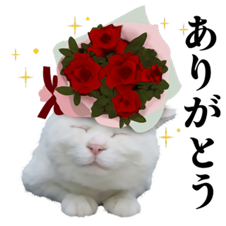 593f4d16ed05e63d9c005af5