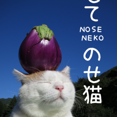 593e60f0428f2d2a410005f9