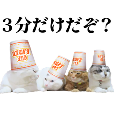 593f4d16ed05e63d9c005af5