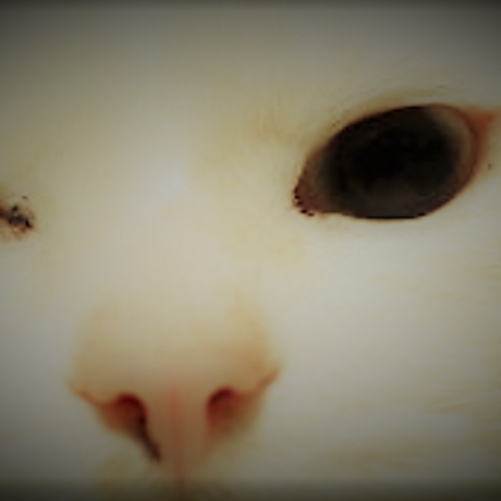 5971770e428f2d1569001194