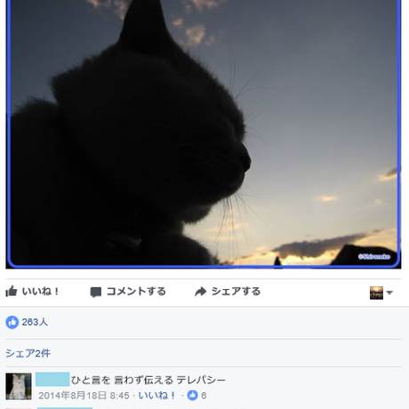 5954b14bed05e62825002a31