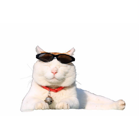 5a1cf0f4428f2d289b000849
