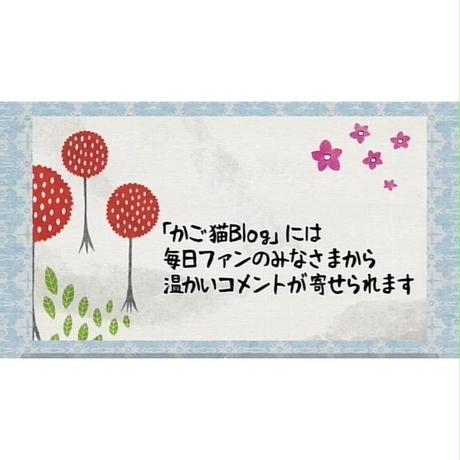 592fafe4b1b61979fa00198b