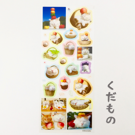 59a507cc3210d5464d0000a2