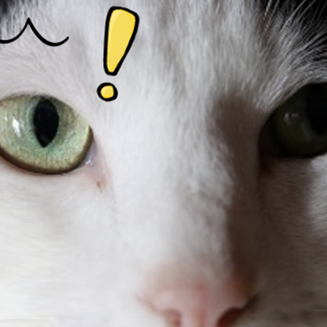59807c67b1b6194075000bbd
