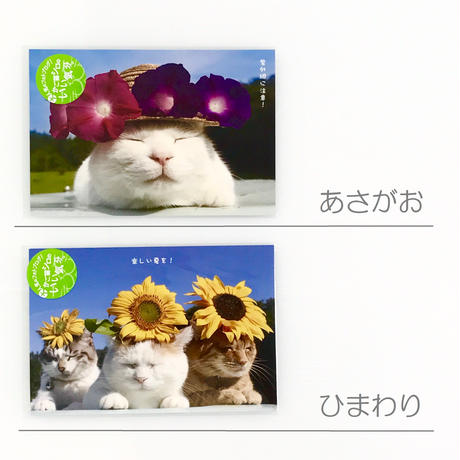 5956321eed05e65c52002e50
