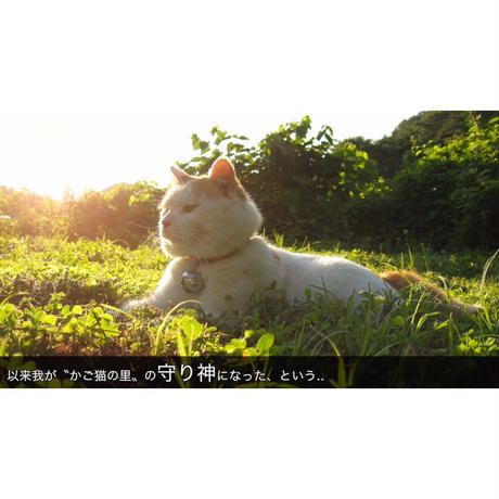 595c42483210d5437d006dc0
