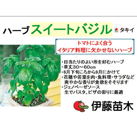 スイートバジル Stores