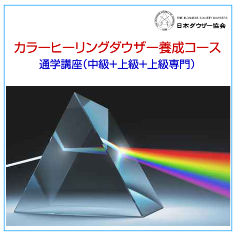 5d40081e4c806404828eb685