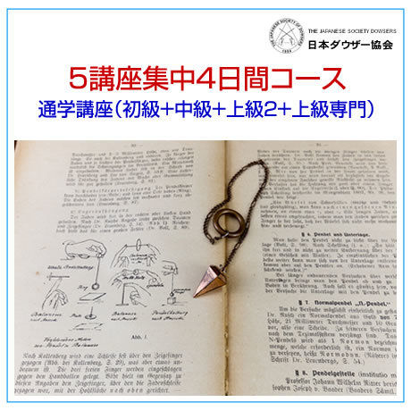 5ce766c8d211bf54184006f3