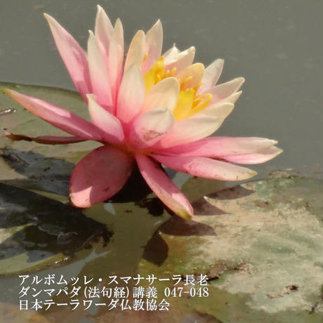 5b890f505496ff2ffb001724
