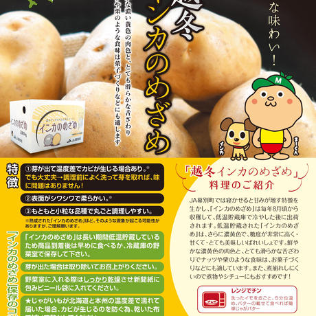 インカのめざめ Stores