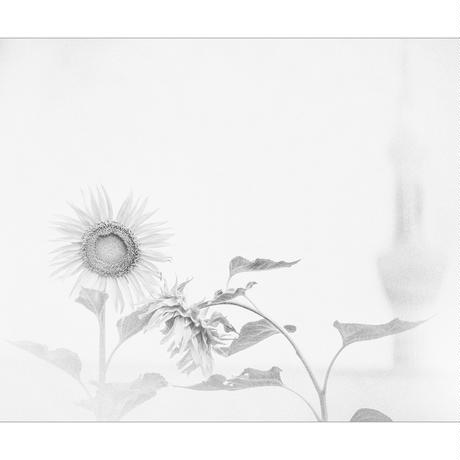 5d8606a4220e753830874448