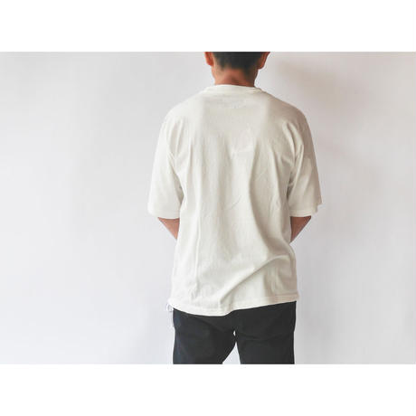 5ea8081772b91172ab904f9e