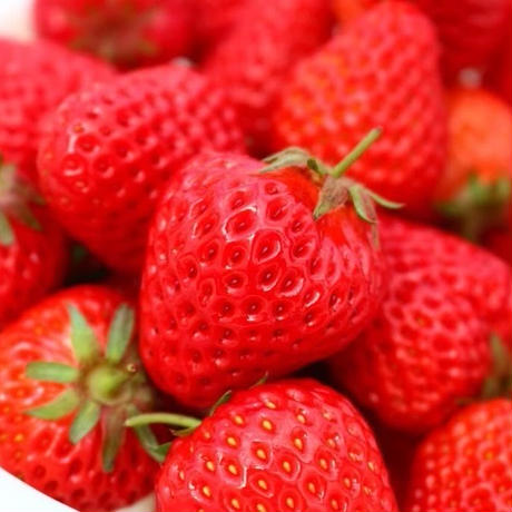 5b0f46a45496ff0e29003026
