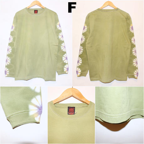 5c53d3fde73a25350e2de5ed