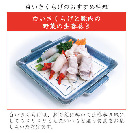5ec22d7855fa03706a06e60c