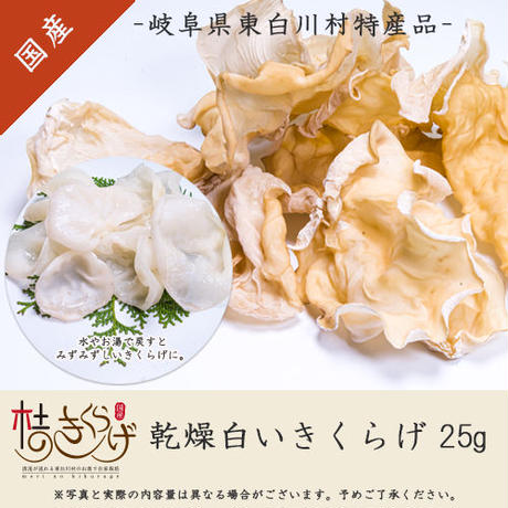 5ec2305a5157623a03556e1e