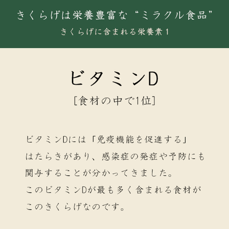 5ec231a9cee9ea70e8012762
