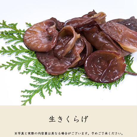 5ec2346f55fa0343f606e34b