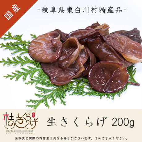 5ec22c485157626be7557de4