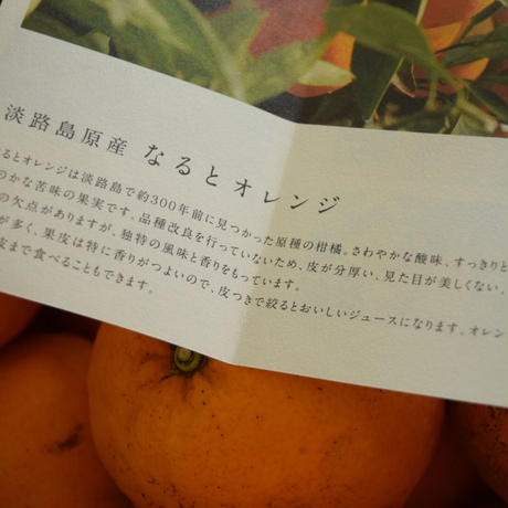 5c91f5b153053d5343532946