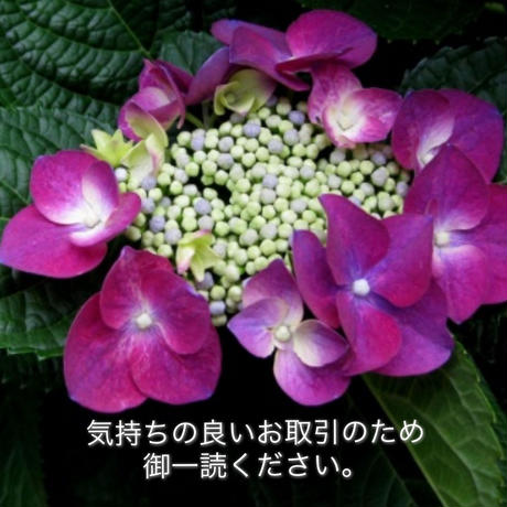595900abf22a5b4f6900e8ce