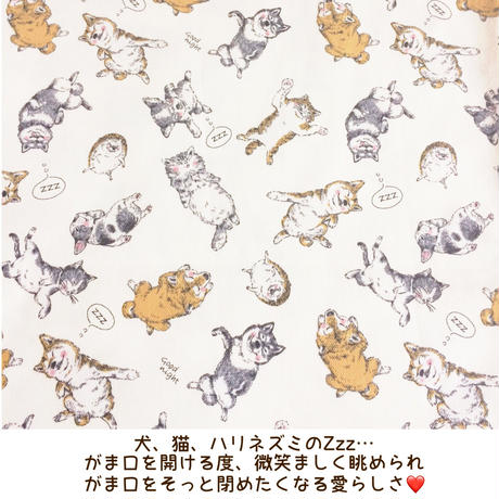 5ae5c5f850bbc32194000d00
