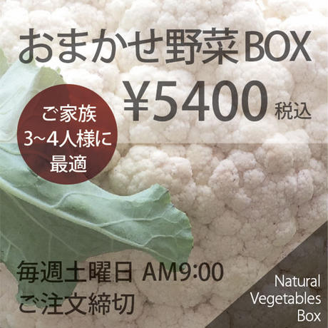 5a6dc809f22a5b513b00a53c