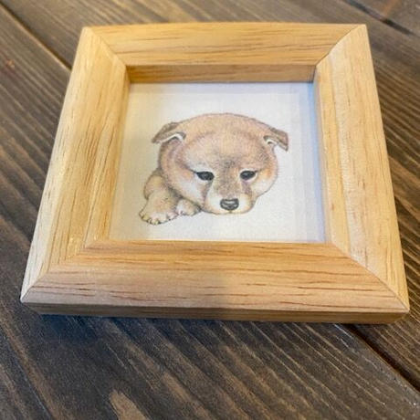 犬の絵 Stores