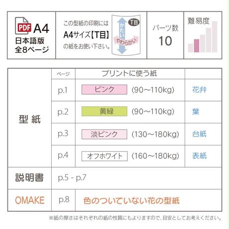 5c1a321cc3976c6b1d39e755