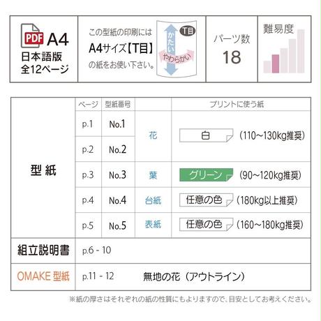 5c514711aee1bb42f736a71f