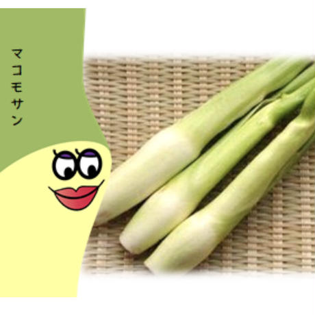 5bd6a621626c84513d00006f